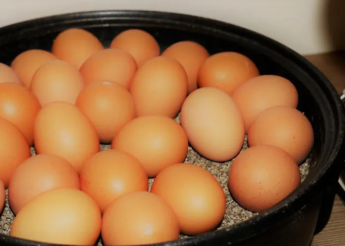 Excelsior Hauptbahnhof Hotel Dortmund