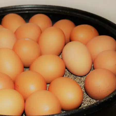 Excelsior Hauptbahnhof מלון דורטמונד